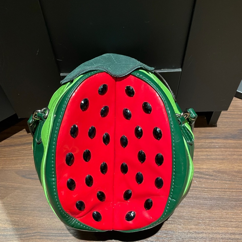 Watermelon purse/ bag